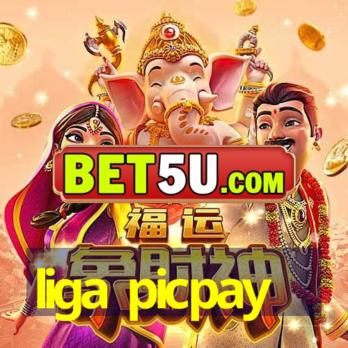 liga picpay